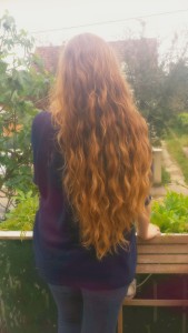 cheveux 3