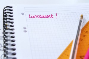 ma vie de blogueuse