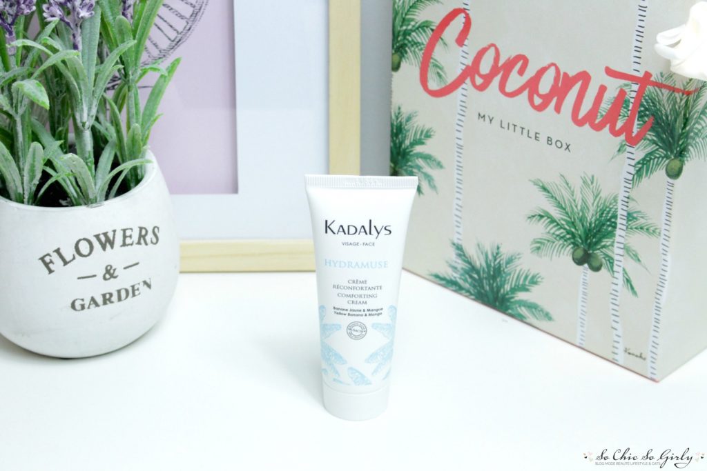 My Little Coconut Box 4