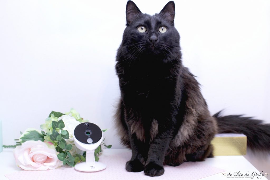 kiwatch camera