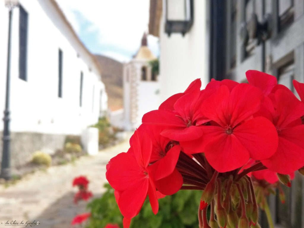 fuerteventura village de betencuria